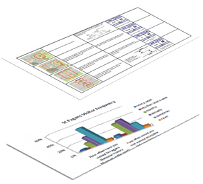 St Fagans Audit and Graph